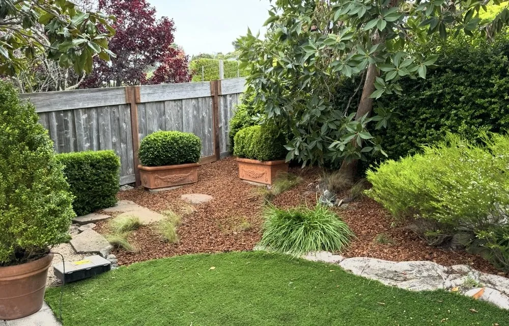 Affordable lawn care service for outdoor upgrades across San Rafael, CA - JM landscape