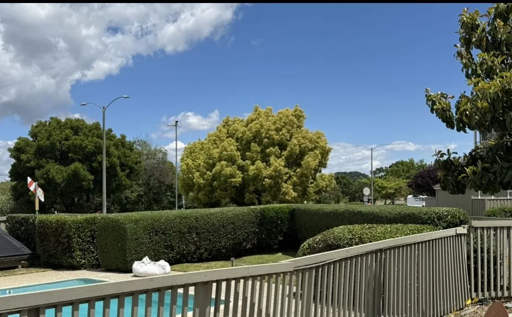 Expert residential landscaping in San Rafael, CA by JM landscape