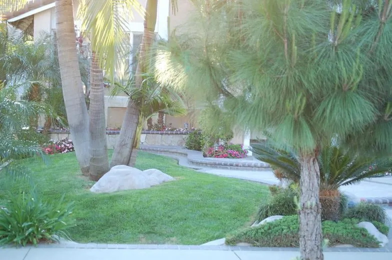 Professional garden landscaping with custom design across Buena Park, CA - JM Landscape Service