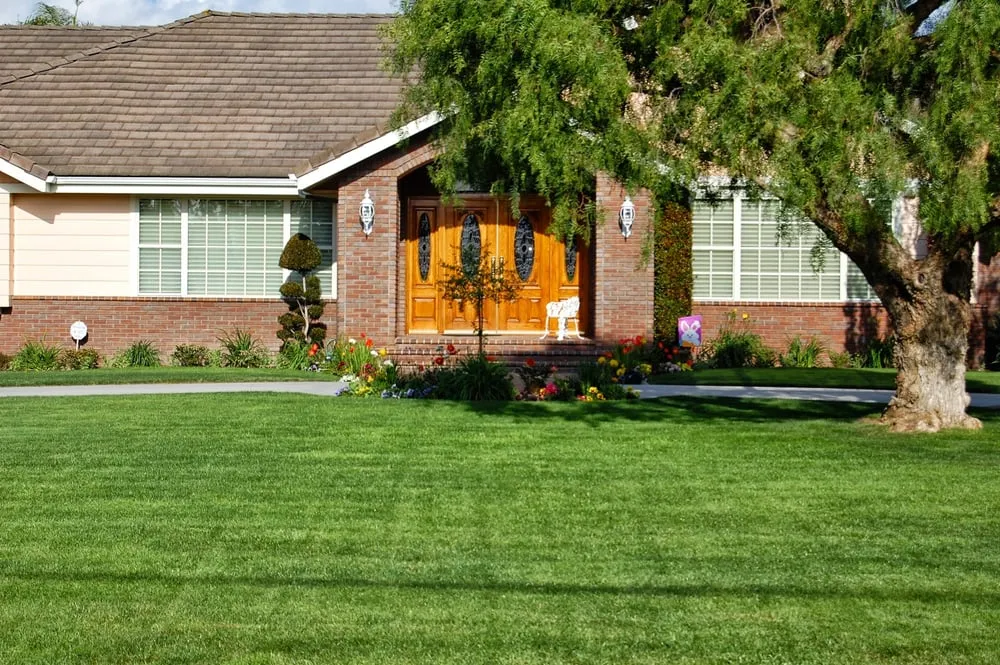 Professional yard cleanup service in Buena Park, CA by JM Landscape Service