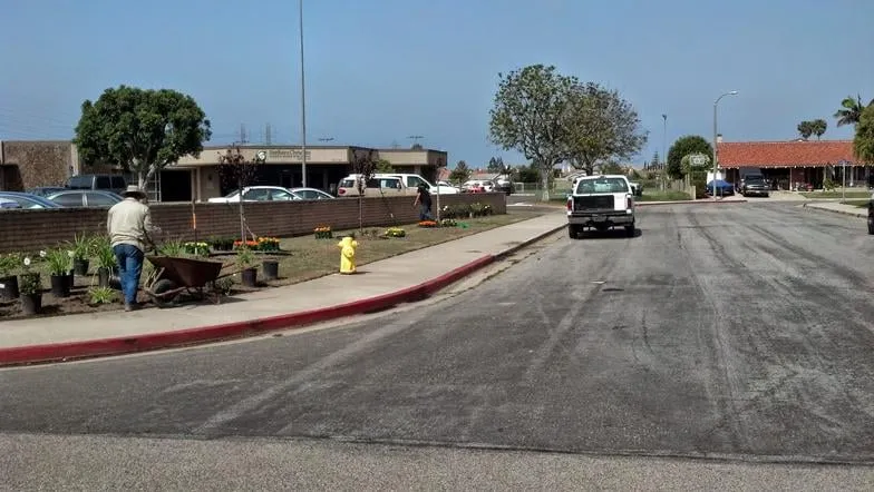 Top-rated residential landscaping in Buena Park, CA - JM Landscape Service