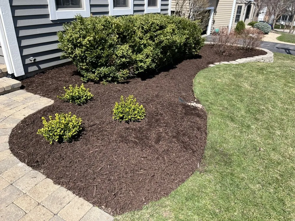 Top-rated lawn care service experts serving Beach Park, IL - J.M. Landscape Services