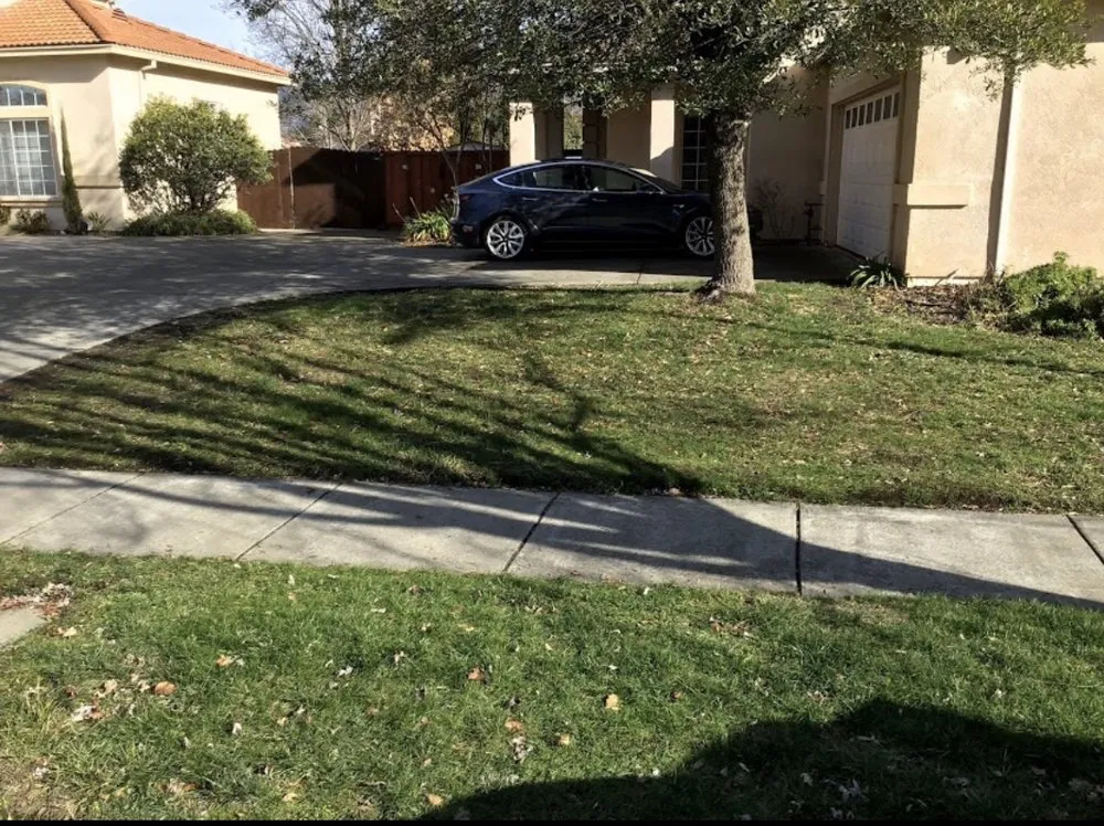 Top-rated yard maintenance in Napa, CA - JM Landscape Services