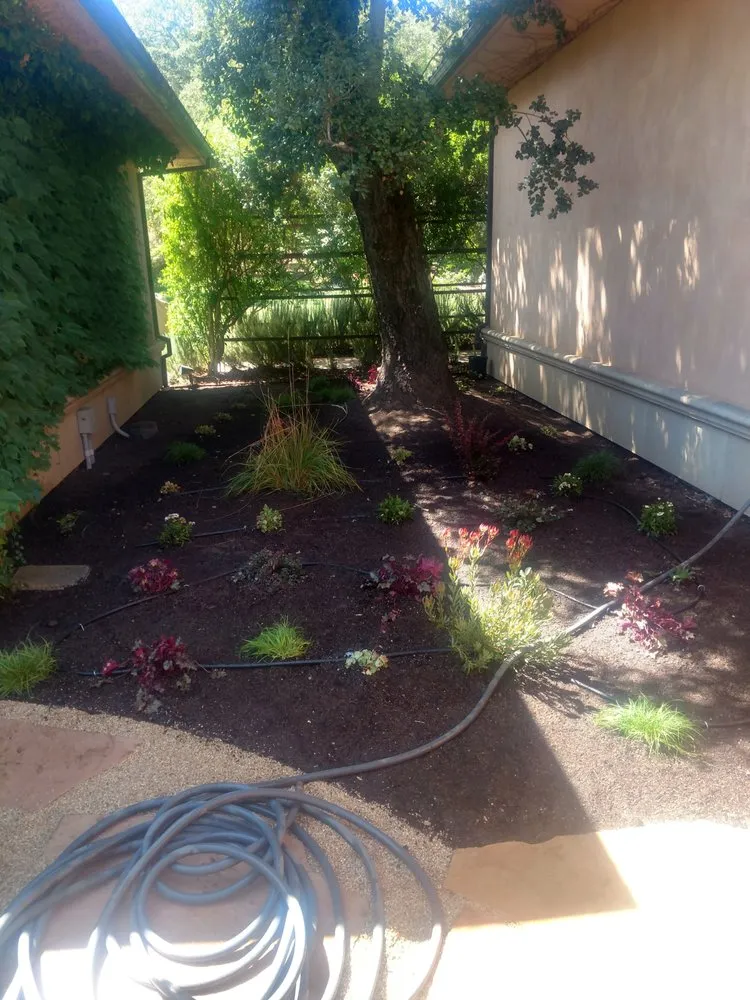 Reliable outdoor landscaping for beautiful yards in Napa, CA by JM Landscape Services