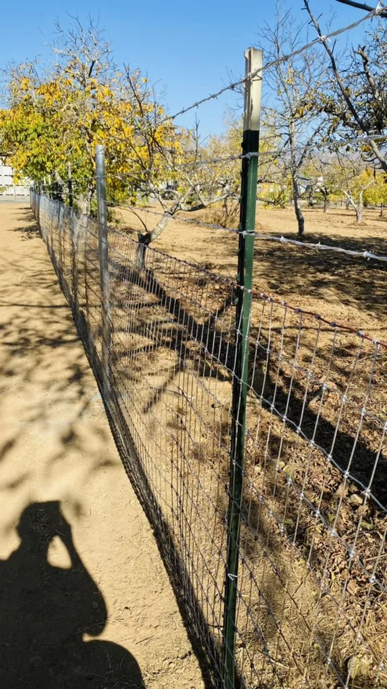 Trusted residential landscaping in Napa, CA by JM Landscape Services