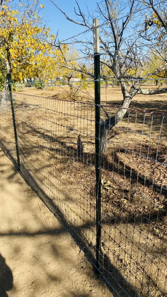 Custom outdoor landscaping with custom design across Napa, CA - JM Landscape Services