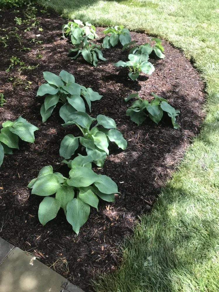 Affordable landscaping services in Woodbridge, VA - JM Landscape Solutions