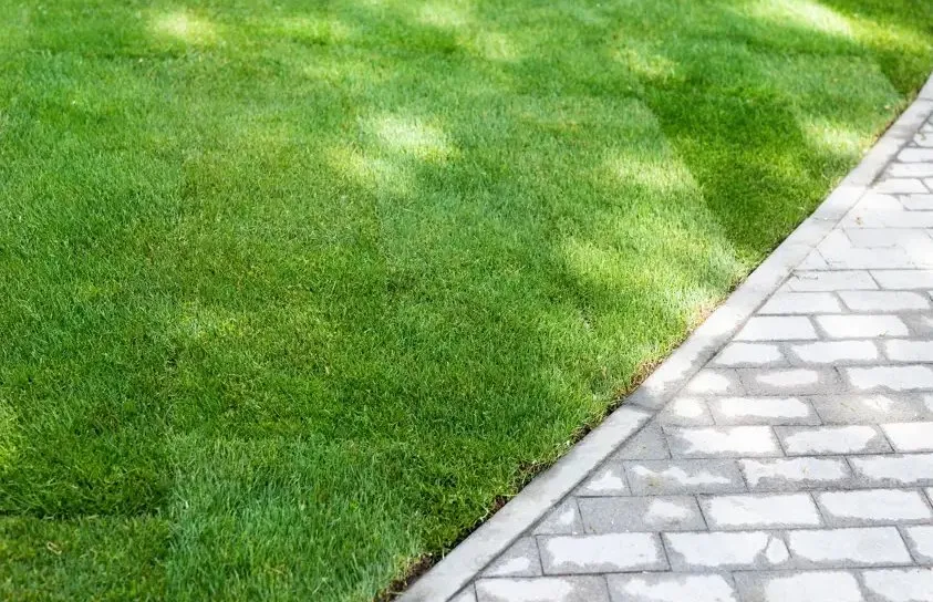 Top-rated landscape design for year-round maintenance in Paris, TX by J&M Landscaping & Remodeling