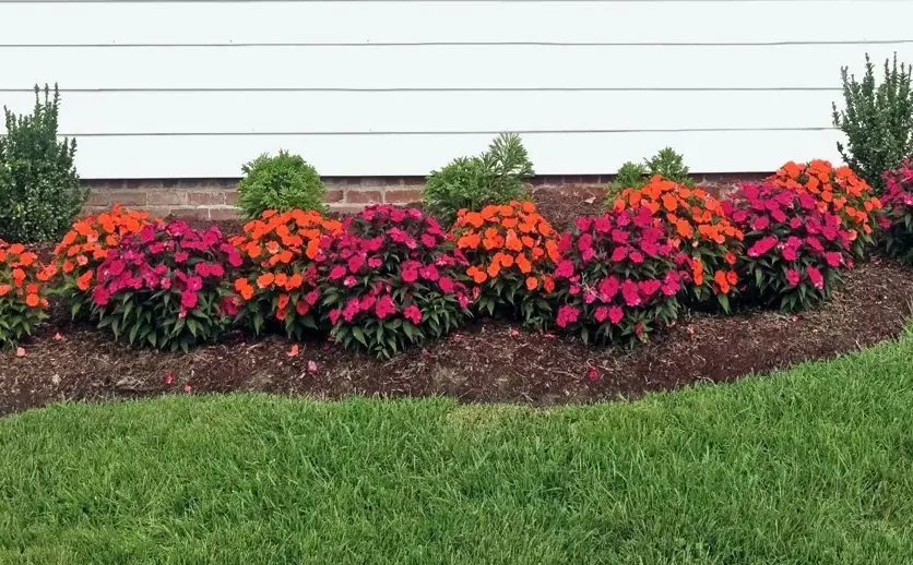 Expert landscaping services experts serving Paris, TX - J&M Landscaping & Remodeling