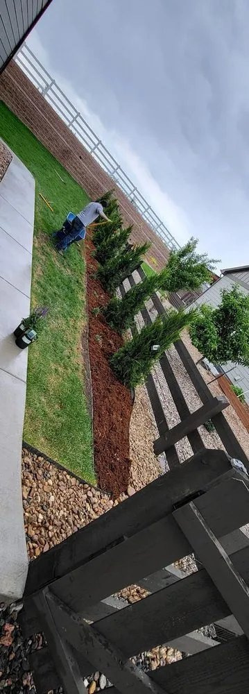 Professional lawn mowing service for residential properties across Longmont, CO - JM Landscaping and Concrete