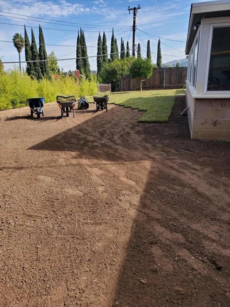 Reliable lawn mowing service experts serving Long Beach, CA - JM  Landscaping And Garden Design