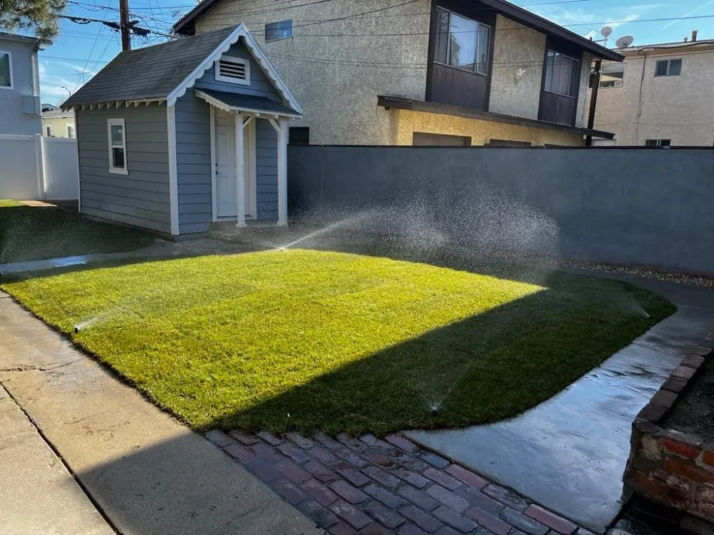 Custom yard maintenance experts serving Long Beach, CA - JM  Landscaping And Garden Design