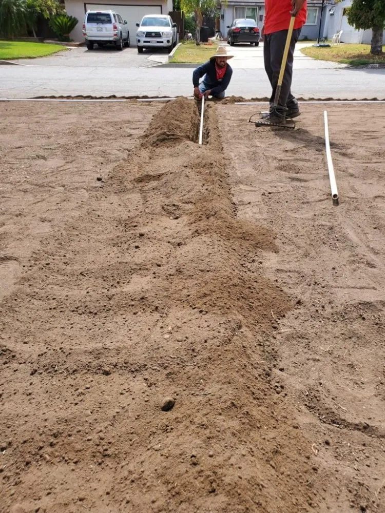 Affordable yard maintenance in Long Beach, CA - JM  Landscaping And Garden Design