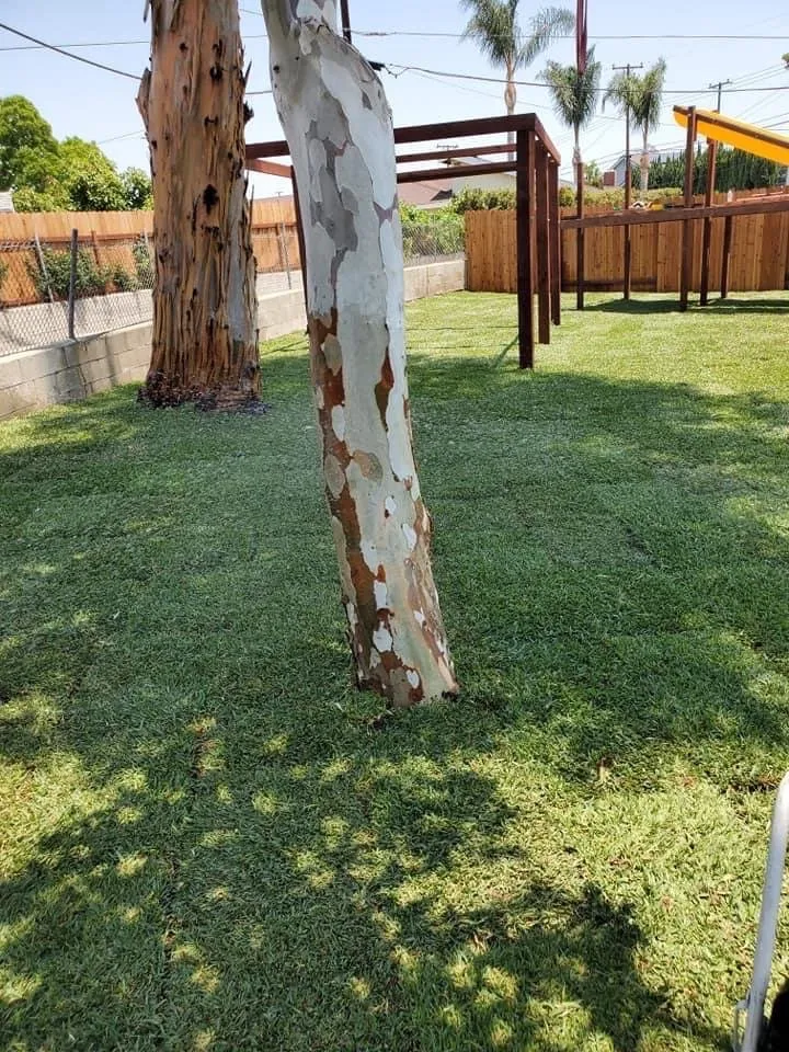 Local residential landscaping for homes across Long Beach, CA - JM  Landscaping And Garden Design