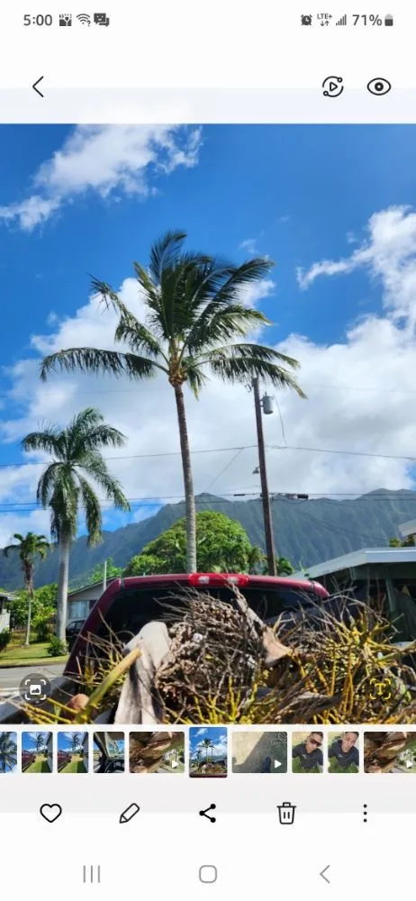 Reliable lawn care service experts serving Honolulu, HI - JM Landscaping and Maintenance