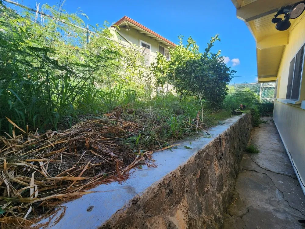 Professional yard maintenance in Honolulu, HI - JM Landscaping and Maintenance