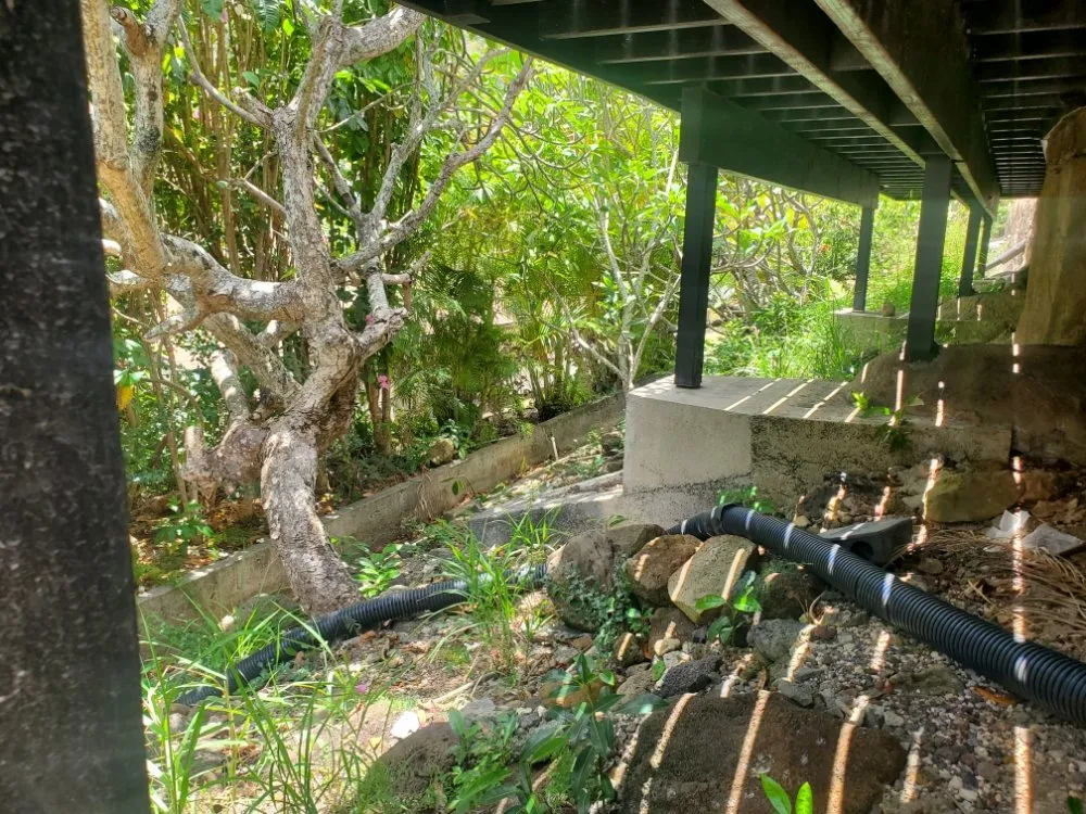 Trusted yard cleanup service in Honolulu, HI by JM Landscaping and Maintenance