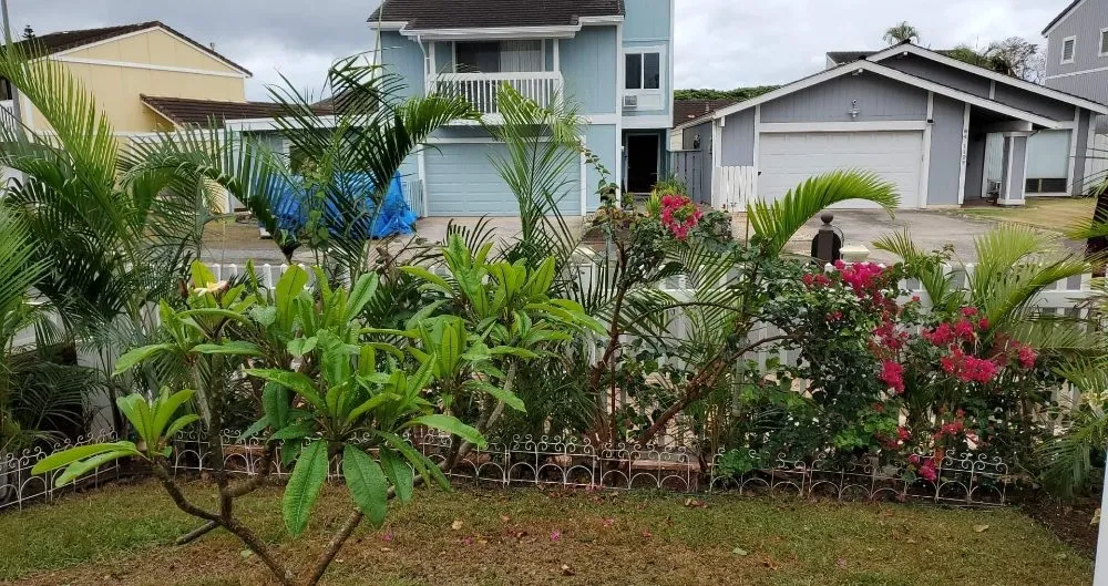 Expert yard maintenance in Honolulu, HI - JM Landscaping and Maintenance