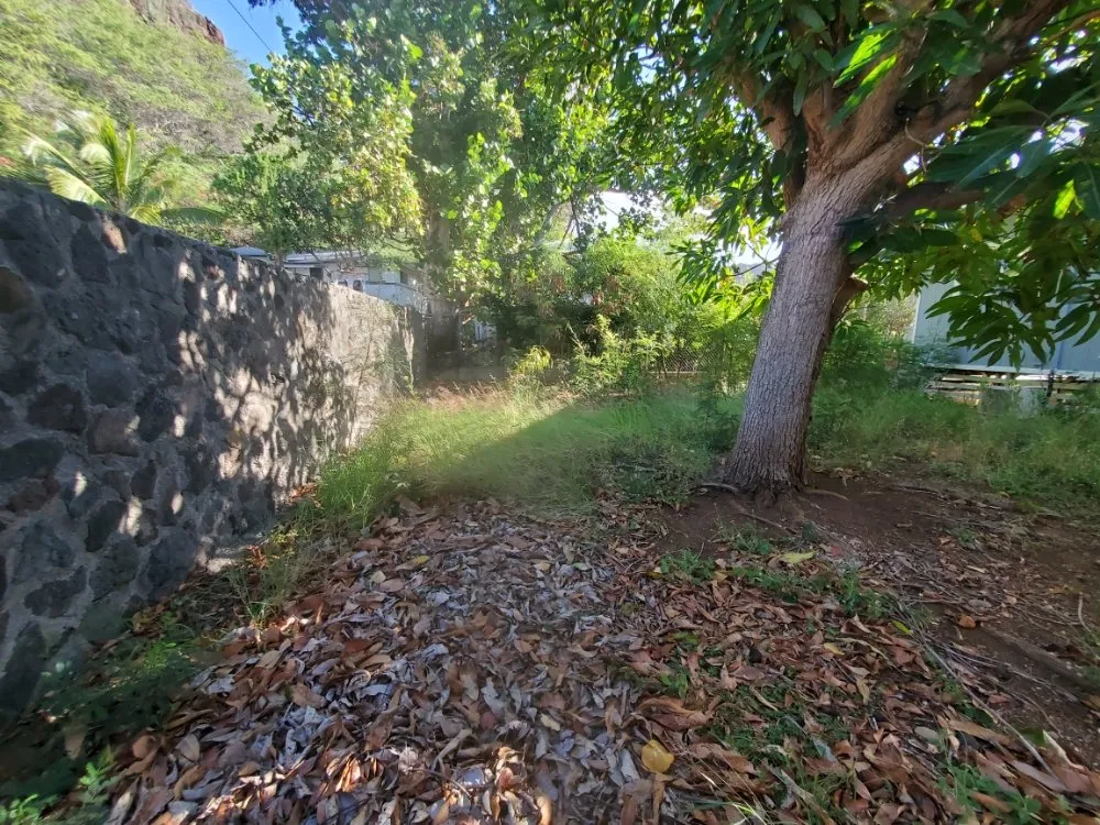 Top-rated lawn mowing service in Honolulu, HI - JM Landscaping and Maintenance