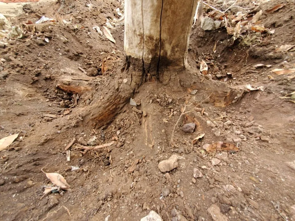 Affordable landscape installation for outdoor upgrades across Honolulu, HI - JM Landscaping and Maintenance