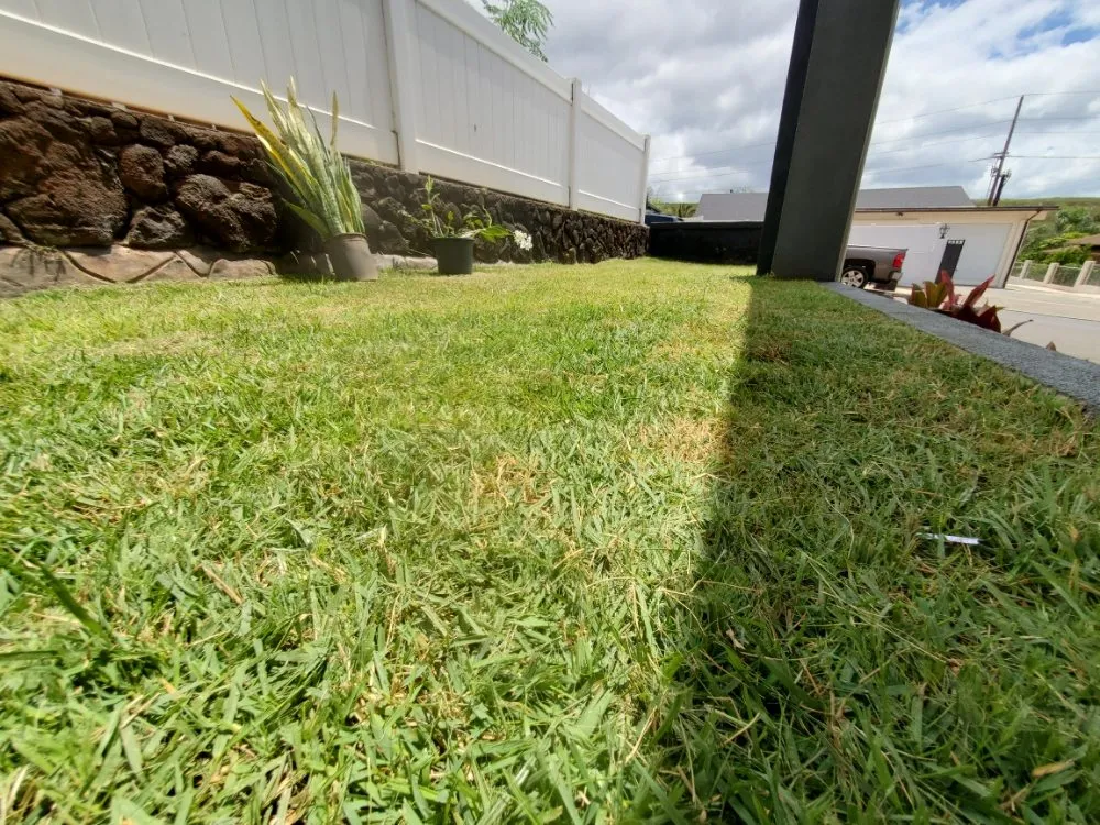 Local outdoor landscaping in Honolulu, HI by JM Landscaping and Maintenance
