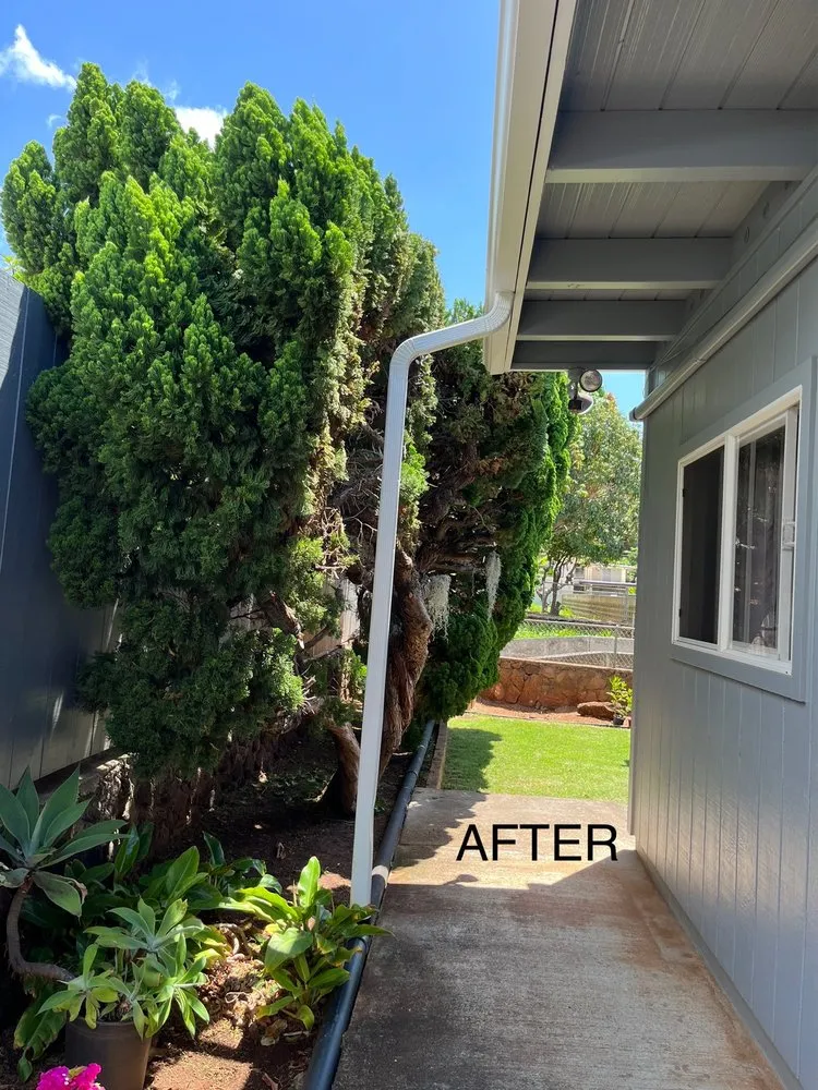 Expert outdoor landscaping for year-round maintenance across Honolulu, HI - JM Landscaping and Maintenance