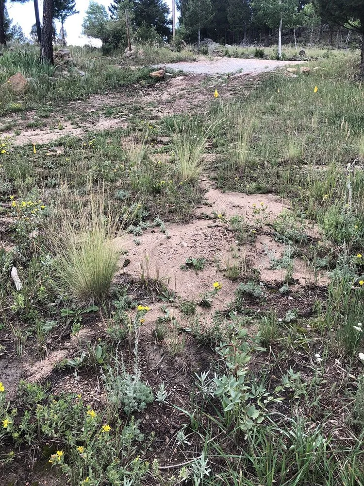 Expert residential landscaping experts serving Arvada, CO - J&M Landscaping And Tree Service