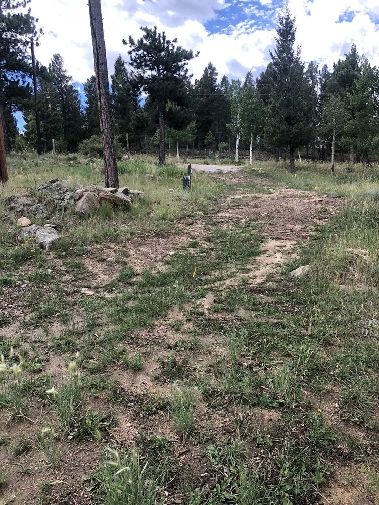 Professional yard cleanup service experts serving Arvada, CO - J&M Landscaping And Tree Service