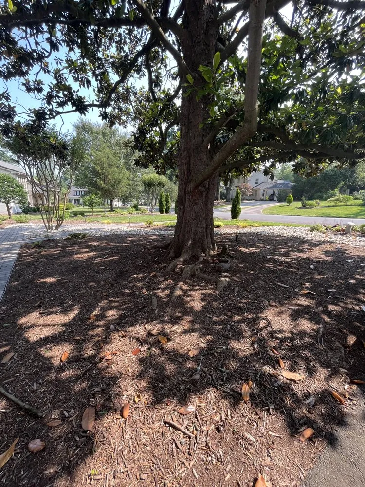 Local lawn care service with custom design in Charlotte, NC by J&M Landscaping