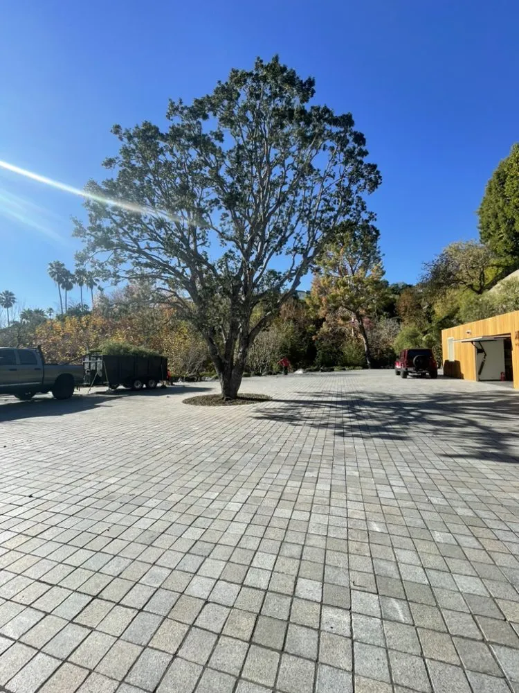 Professional landscape installation in Inglewood, CA - JM Landscaping