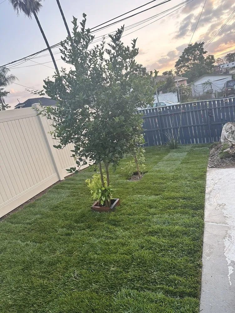 Affordable landscaping services experts serving Inglewood, CA - JM Landscaping