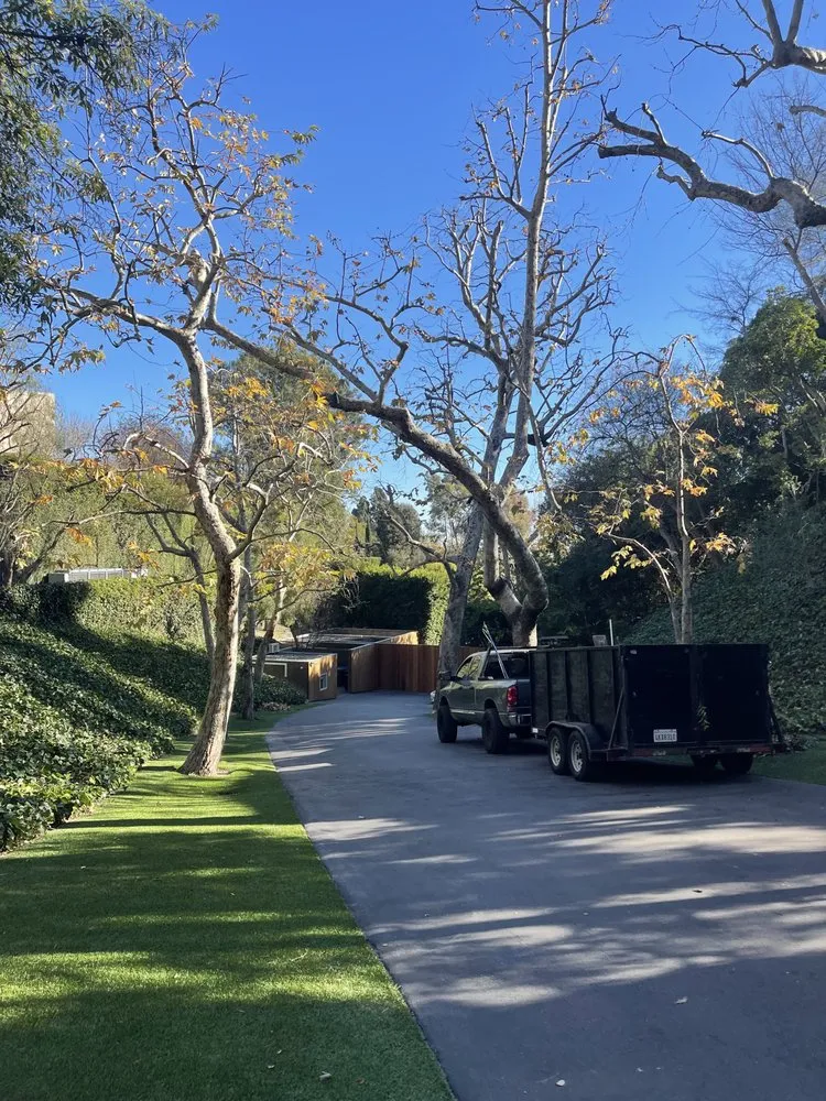 Local landscape design in Inglewood, CA - JM Landscaping