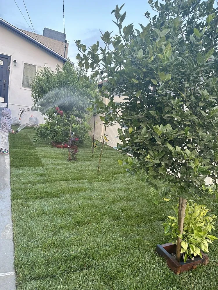 Custom landscape installation for year-round maintenance in Inglewood, CA by JM Landscaping