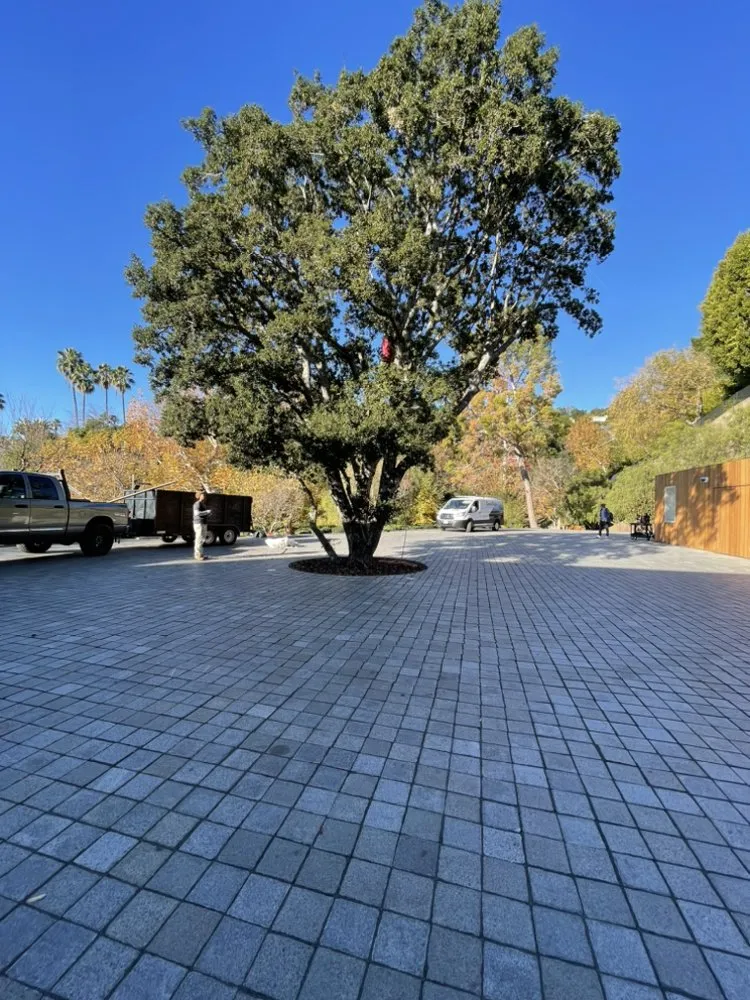 Affordable residential landscaping near you in Inglewood, CA by JM Landscaping