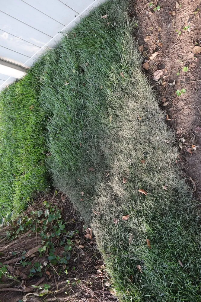 Reliable landscape design in Matawan, NJ by JM Landscaping