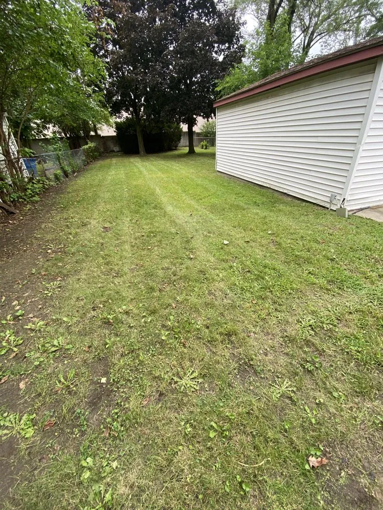 Affordable lawn care service experts serving Melvindale, MI - JM Landscaping