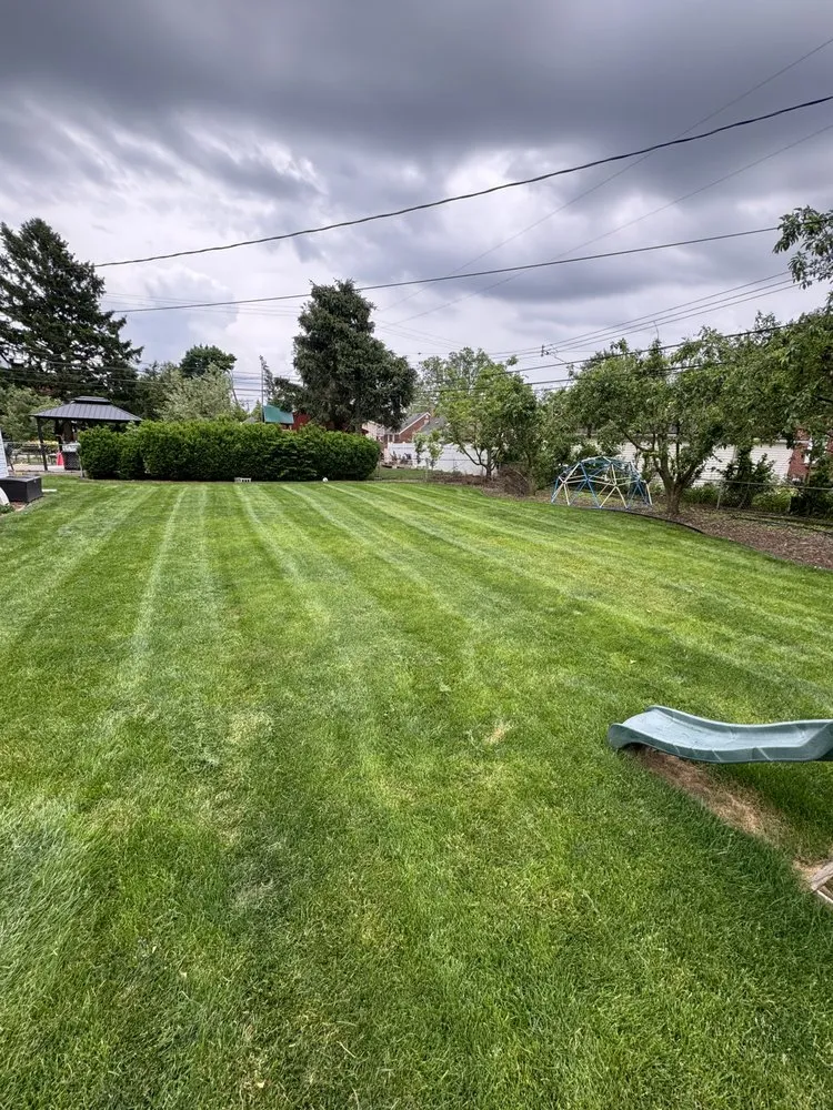 Professional lawn mowing service in Melvindale, MI - JM Landscaping
