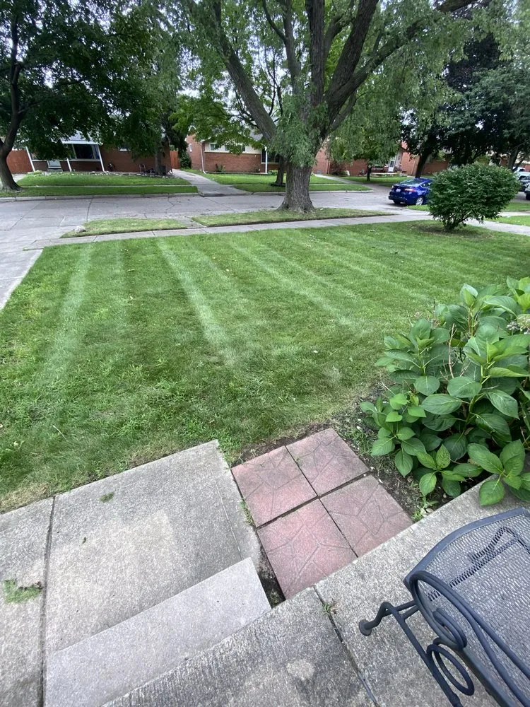 Professional yard cleanup service in Melvindale, MI - JM Landscaping