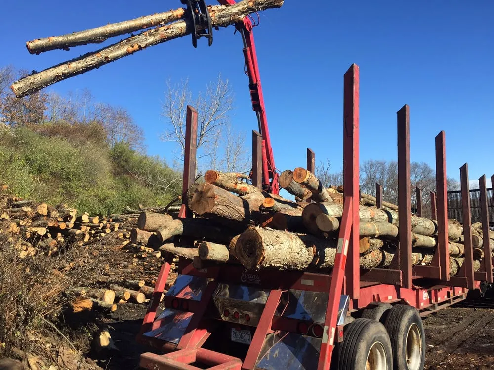 Professional landscape design in Orange, CT - J&M Landscaping