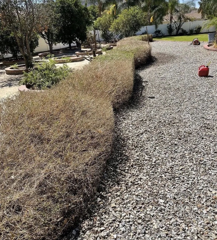 Reliable landscaping services for residential properties across Perris, CA - JM Landscaping