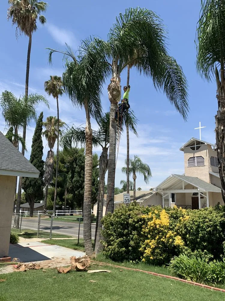 Top-rated lawn mowing service with custom design in Perris, CA by JM Landscaping