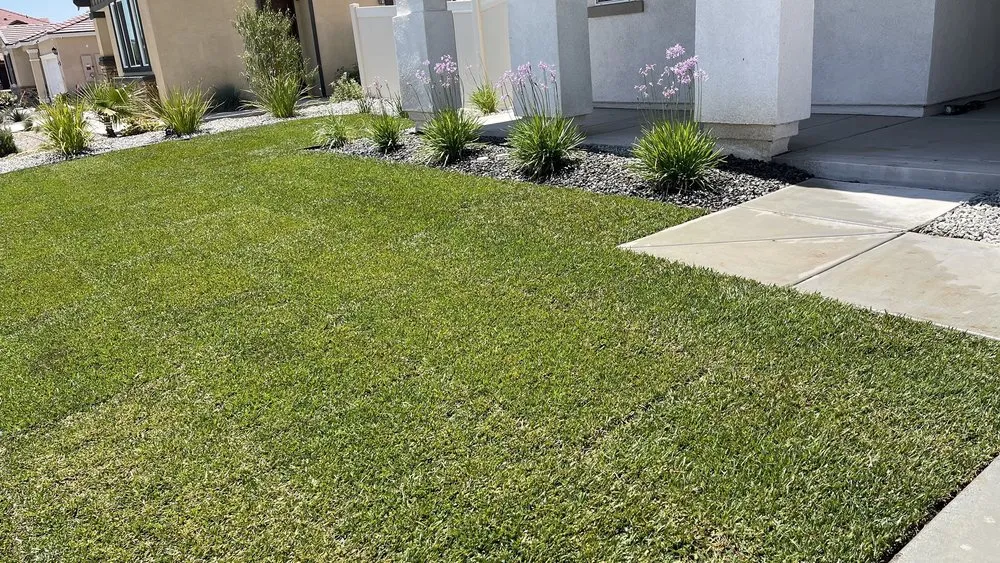 Local lawn mowing service experts serving Perris, CA - JM Landscaping