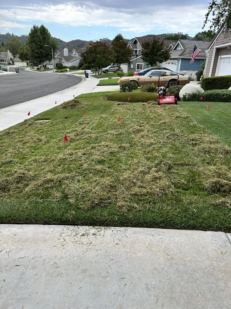 Reliable lawn mowing service with custom design across Perris, CA - JM Landscaping