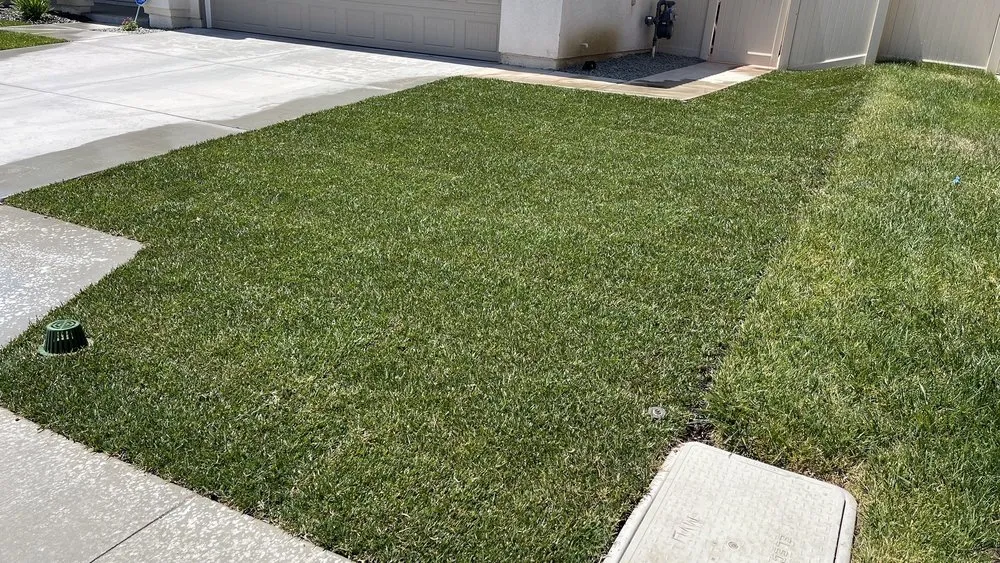 Reliable yard maintenance with custom design in Perris, CA by JM Landscaping