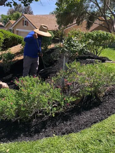 Reliable lawn care service experts serving Perris, CA - JM Landscaping
