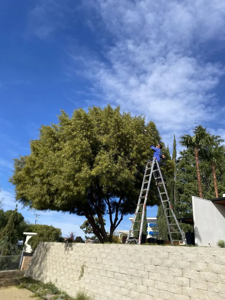 Trusted landscape design near you in Perris, CA by JM Landscaping