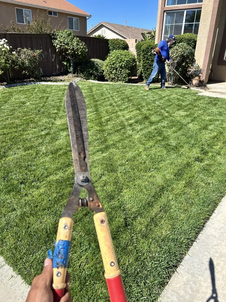 Professional landscape installation experts serving Perris, CA - JM Landscaping