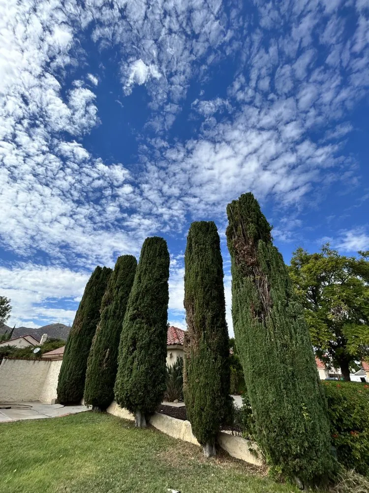 Top-rated yard cleanup service near you across Perris, CA - JM Landscaping