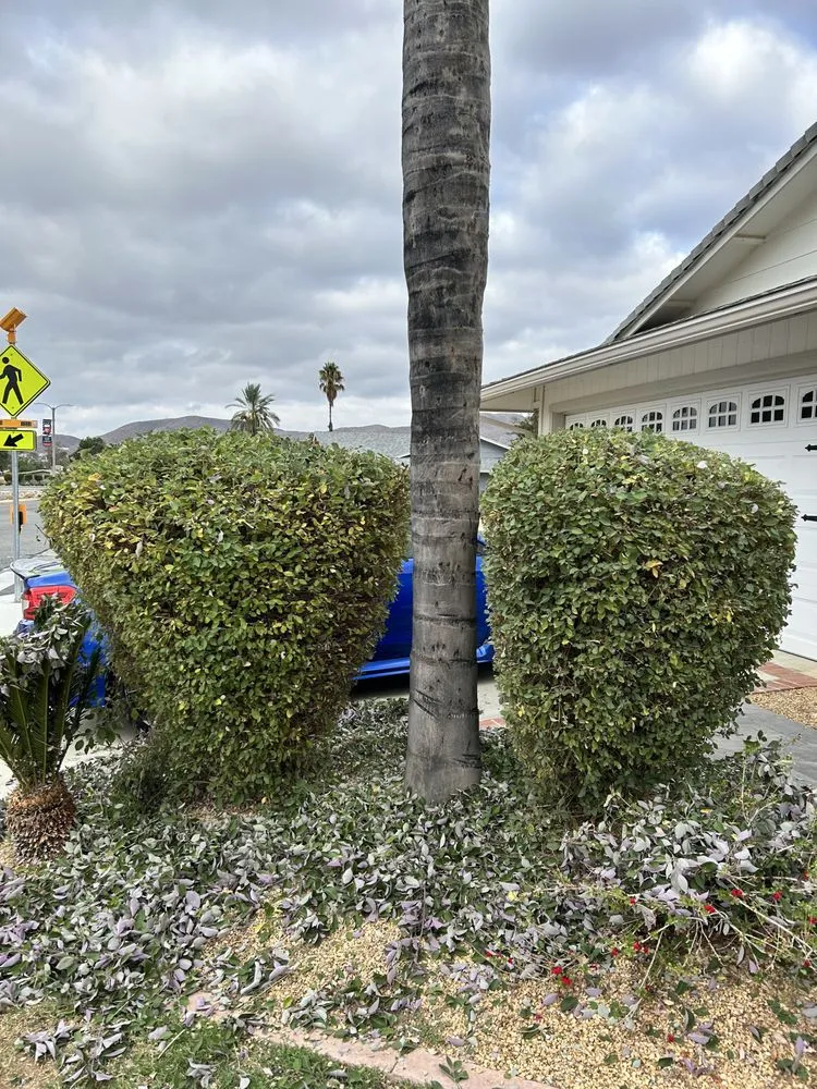 Expert landscaping services in Perris, CA by JM Landscaping