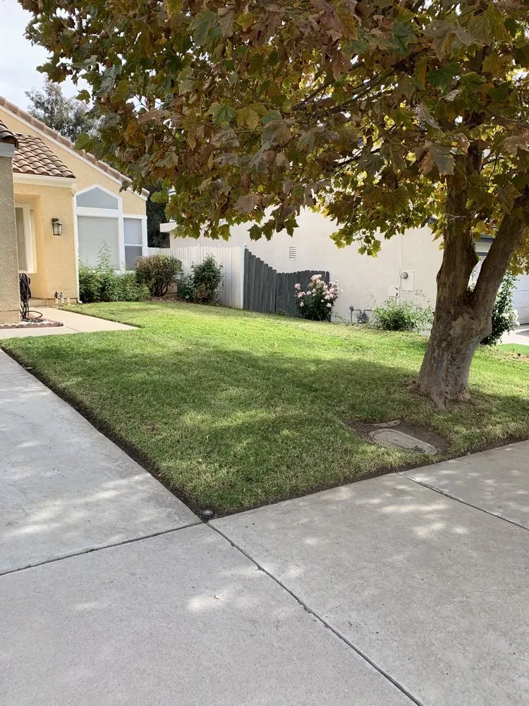 Trusted landscaping services experts serving Perris, CA - JM Landscaping